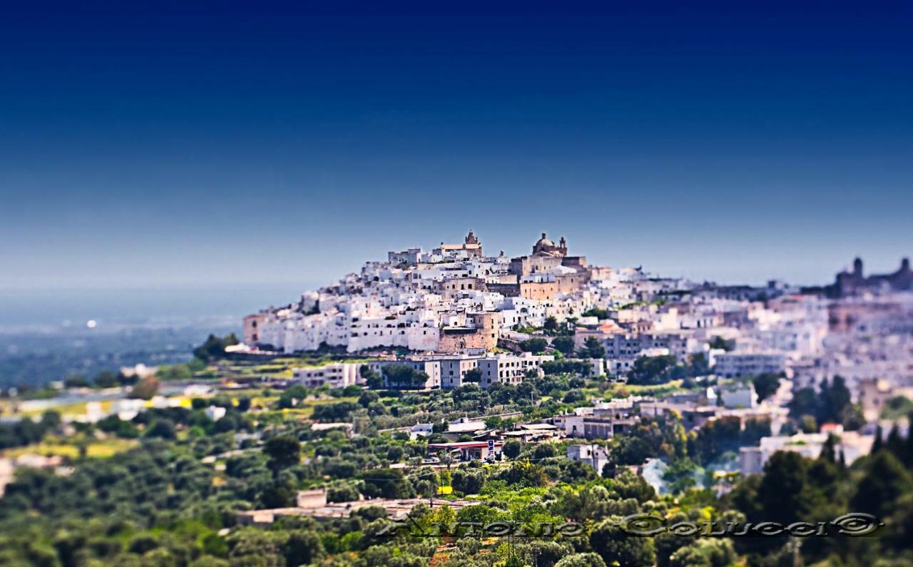 Le Bianche Suites Ostuni Esterno foto
